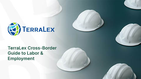 Capacetes de seguran a brancos dispostos sobre uma superf cie escura ao lado do texto TerraLex Cross-Border Guide to Labor & Employment com o logotipo da TerraLex. Yapay zeka taraf ndan olu turulan a  klama