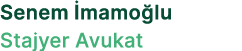 Senem mamo lu Stajyer Avukat