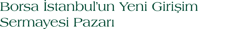 Borsa stanbul’un Yeni Giri im Sermayesi Pazar 