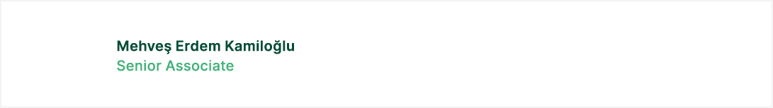 Mehve Erdem Kamilo lu Senior Associate